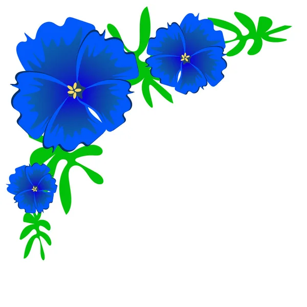 beautiful exotic flowers vector illustration