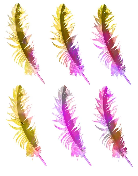 Watercolor grunge colorful paintings vibrant feather set. Boho style wings. illustration on white. Rustic Bright colors.
