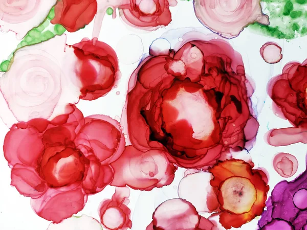 Alcohol Illustration Peony. Rose Roses Flower. Pigment Ink Blur. Delicate pattern. Red Dots. Alcohol Ink Drops. Background for Cards Sputter. Vine color, White Streaks.