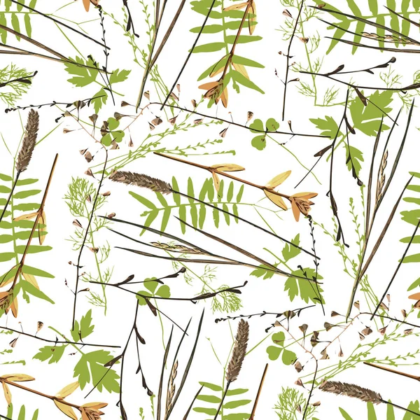 pattern. Seamless floral background. Decor with leaves herbs. Herbal illustration. Green. colors. — decoupage, - Stock Photo | #272014904