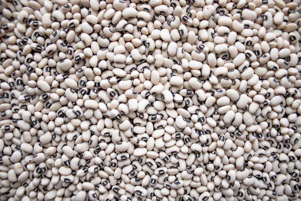 White beans, small. Background with beans.