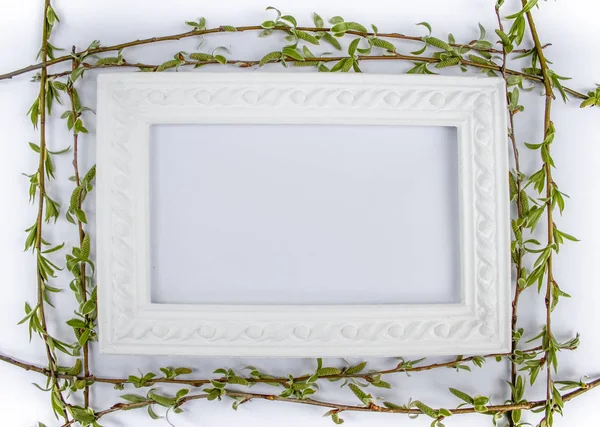 White frame with green willow branches on a white background. Copy space in the middle for your text.
