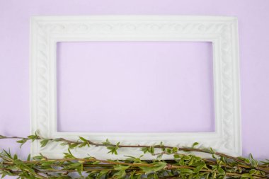 Pembe bir arka planda yeşil söğüt dalları ile beyaz çerçeve. Metniniz için alanın ortasına Kopyala.