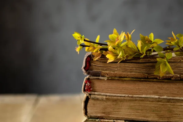 Old books on a wooden table. Branches of yellow leaves on the books. — Stock Photo, Image