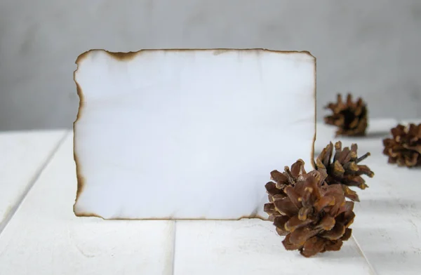 Sulle tavole di legno bianco, un foglio di carta bruciato lungo i bordi, coni della foresta intorno ai bordi. Lasciare spazio al testo . — Foto Stock