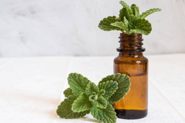 Ahşap bir tahta üzerinde taze nane ve nane yağı.