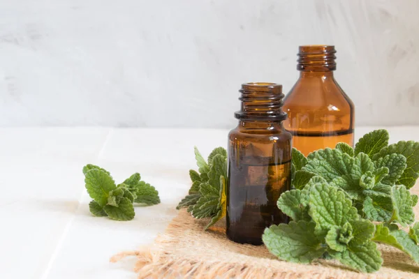 Organic essential oil of mint in a small glass jar with green leaves. Natural oil of mint. — Stock Photo, Image