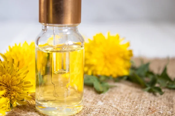 Masada yeşil yaprakları ve karahindiba çiçekleri ile küçük bir cam kavanozda Organik uçucu yağ. Çiçek uçucu yağ.