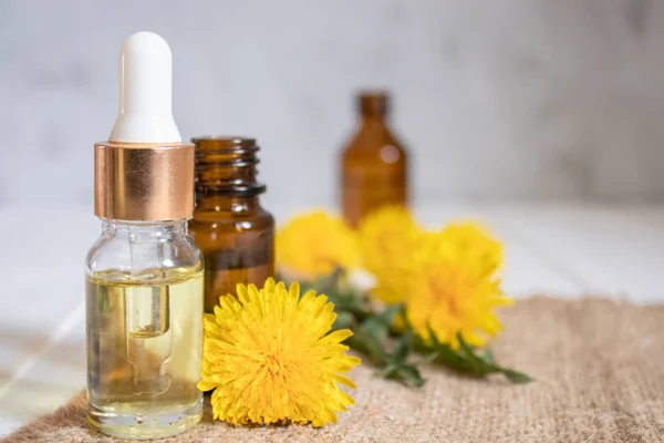 Natural essential oil in a glass bottle with fresh dandelion flowers on the table. Flower essential oil.