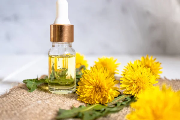 Ätherisches Bio-Öl in einem kleinen Glas mit grünen Blättern und Löwenzahnblüten auf dem Tisch. Ätherisches Blütenöl. — Stockfoto