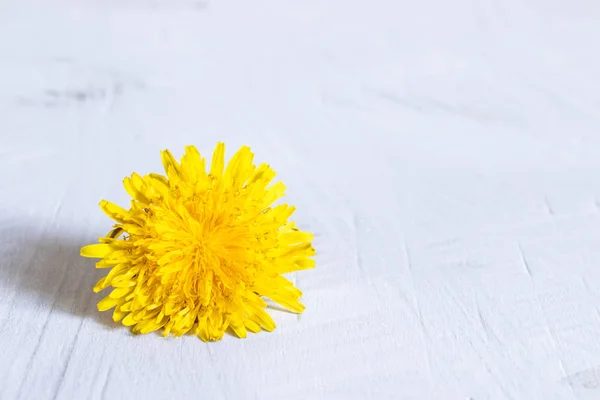 Frische Blumen gelber Löwenzahn. Löwenzahn aus nächster Nähe, Fokus auf die Blume davor. — Stockfoto