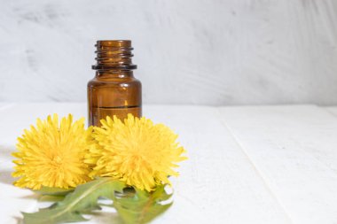Masada taze karahindiba çiçekleri ile cam bir şişe doğal uçucu yağ. Çiçek uçucu yağ.