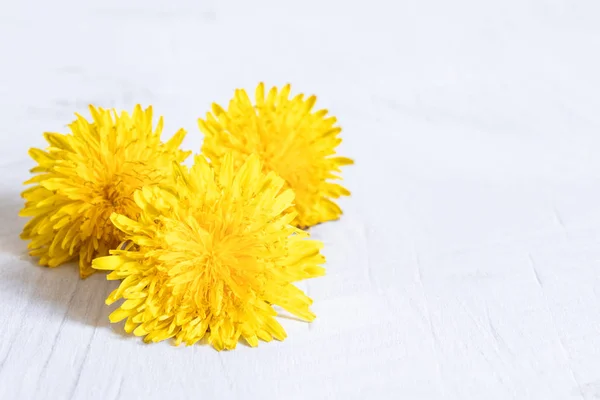 Frische Blüten aus gelben Löwenzahn auf weißem Hintergrund. Löwenzahn auf Holztisch, Blumen im Vordergrund. — Stockfoto