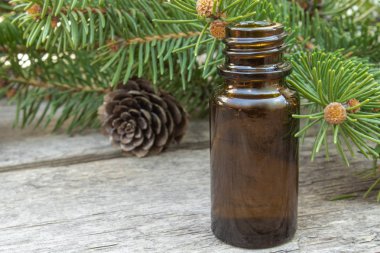 Koyu bir masa üzerinde yeşil tomurcukları ile küçük bir kahverengi şişe ve çam dalları Çam uçucu yağ