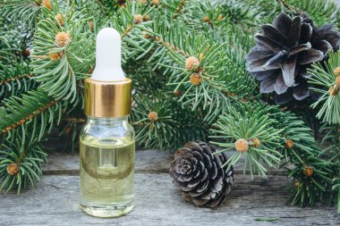 Bir masada kozalaklı çam yaprakları ile cam şişede çam Uçucu yağ.