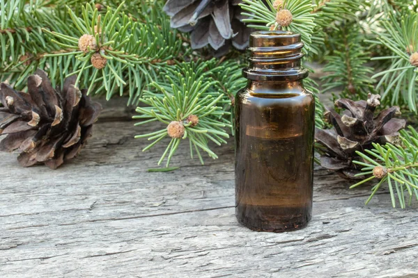 Pine etherische olie in een kleine bruine fles en dennentakken met groene toppen op een donkere tafel — Stockfoto