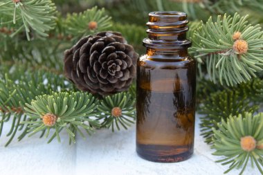 Koyu bir masa üzerinde yeşil tomurcukları ile küçük bir kahverengi şişe ve çam dalları Çam uçucu yağ