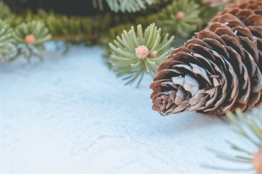 Bir Noel ağacının yeşil dalları ve beyaz tahta arka plan üzerinde konileri. Kopyalama alanı ile yan görünüm