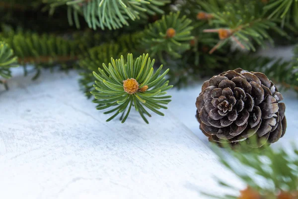 Πράσινα κλαδιά ενός χριστουγεννιάτικου δέντρου και κώνους σε λευκό επιτραπέζιο φόντο. Πλευρική προβολή με χώρο αντιγραφής — Φωτογραφία Αρχείου