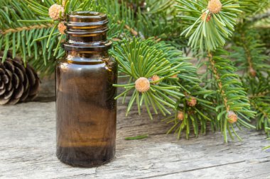 Koyu bir masa üzerinde yeşil tomurcukları ile küçük bir kahverengi şişe ve çam dalları Çam uçucu yağ