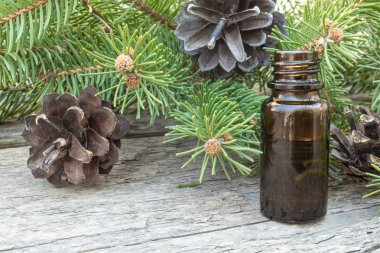 Koyu bir şişede temel kozalaklı yağ, özü bir şişe, çam dalları.