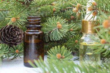 Koyu bir şişede temel kozalaklı yağ, özü bir şişe, çam dalları.