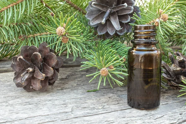 Koyu bir şişede temel kozalaklı yağ, özü bir şişe, çam dalları.