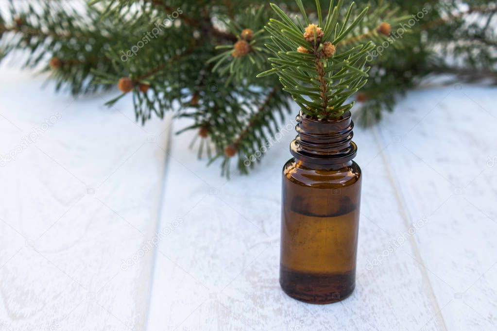 Essential coniferous oil in a dark bottle, a bottle of extract, pine branches.