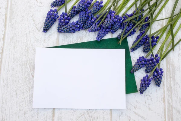 En bukett blå blommor Muscari på vita träskivor, små klockor. Utsikt från ovan. — Stockfoto