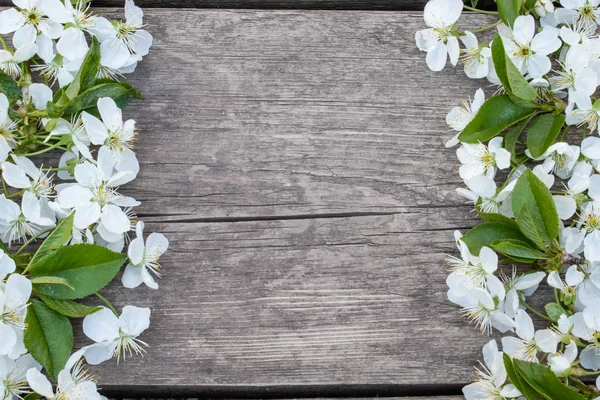 Vita körsbär blommor på gamla, trä styrelser, körsbär gren. Utsikt ovanifrån. — Stockfoto