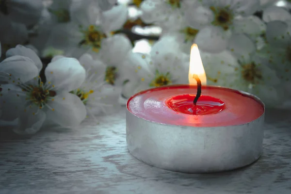 Vela roja con ramas de cereza blanca . —  Fotos de Stock