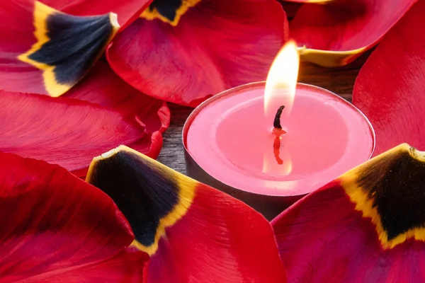 A red, burning candle is burning near the fallen petals of red tulips. The red candle is burning.