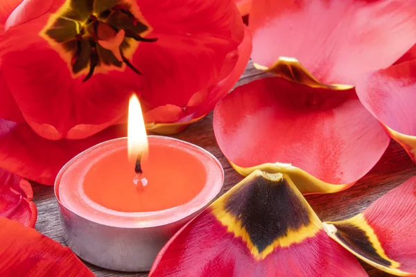 Una vela roja ardiendo está ardiendo cerca de los pétalos caídos de los tulipanes rojos. La vela roja está ardiendo. . —  Fotos de Stock