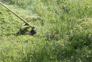 çim biçme makinesi ile çim biçme.