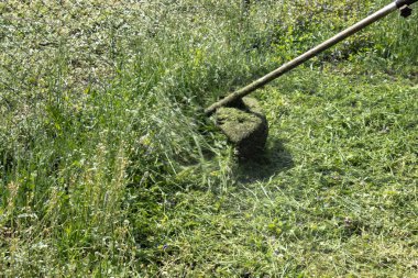 Manuel çim biçme makinesi olan bir adam çimbiçer.