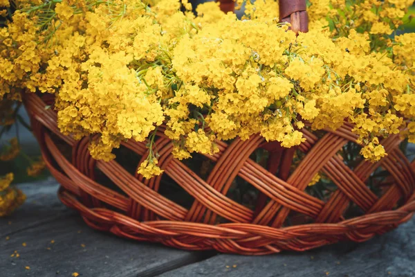 Pequeñas flores amarillas en una cesta sobre una mesa de madera . —  Fotos de Stock