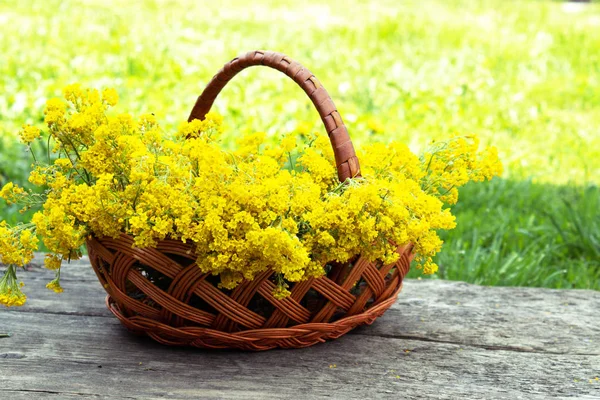 Pequeñas flores amarillas en una cesta sobre una mesa de madera . —  Fotos de Stock