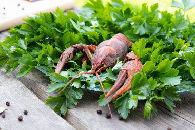 tahta bir tahta ve baharatlar masaya dağınık bir tabak üzerinde otlar ile haşlanmış kerevit