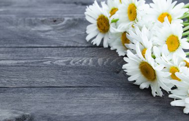 Ahşap bir masada taze papatya çiçekleri.