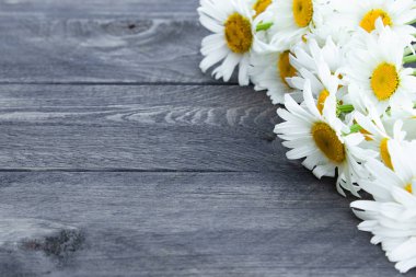 Ahşap bir masada taze papatya çiçekleri.