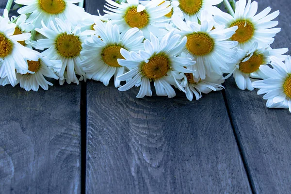 Flores frescas de manzanilla sobre una mesa de madera . — Foto de Stock