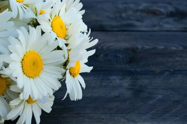 Eski ahşap panoların arka planda papatyalar.