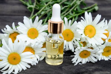 Bir pipet ile cam şişede Papatya uçucu yağ papatya çiçekleri yakınında masada.