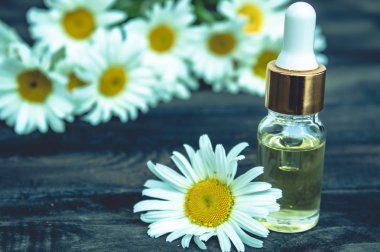 Bir pipet ile cam şişede Papatya uçucu yağ papatya çiçekleri yakınında masada.