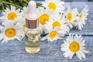 Bir cam şişe papatya esansiyel yağ papatya çiçekleri yakınındaki mavi panoları üzerinde duruyor.