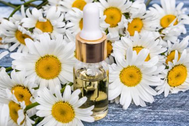 Bir cam şişe papatya esansiyel yağ papatya çiçekleri yakınındaki mavi panoları üzerinde duruyor.