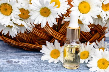 Bir cam şişe papatya esansiyel yağ papatya çiçekleri ile sepet yakınında ahşap panoları üzerinde duruyor.