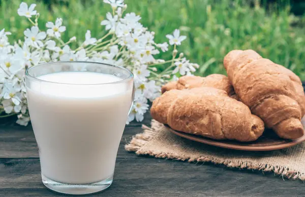 Kruvasan ve beyaz çiçeklerin yanında bir bardak süt var.. — Stok fotoğraf