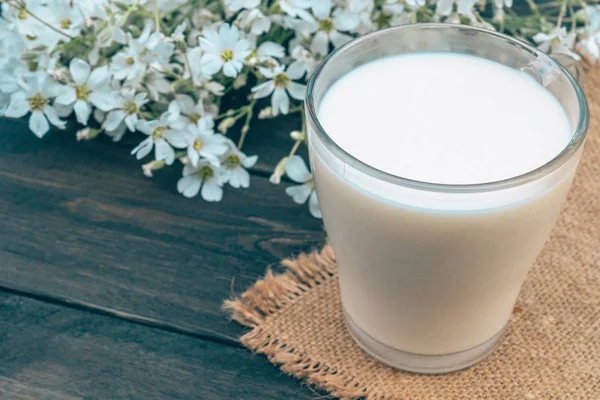 Junto a las pequeñas flores blancas hay una taza de vidrio con leche . — Foto de Stock