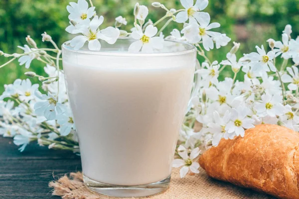 Junto a los croissants y las flores blancas hay una taza de leche . — Foto de Stock